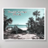 BONITA SPRINGS FLORIDA POSTER (Vorne)