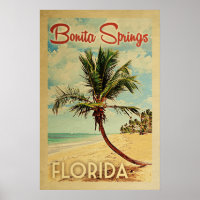 Bonita Springs Palm Tree Vintage Travel