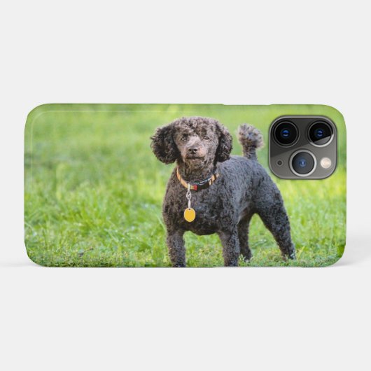 Bonjour Case-Mate iPhone Hülle (Rückseite (Horizontal))