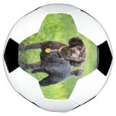 Bonjour Fußball (Gedreht)