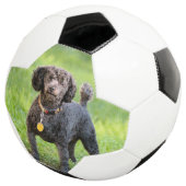 Bonjour Fußball (Dreiviertel)