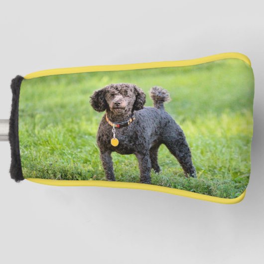 Bonjour Golf Head Cover Headcover (Vorderseite)