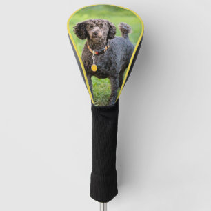 Bonjour Golf Headcover