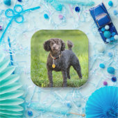 BonJour Pappteller (Party)