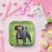 BonJour Pappteller (Party)