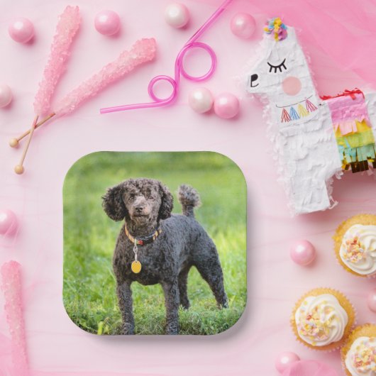 BonJour Pappteller (Party)