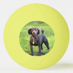 Bonjour Tischtennisball