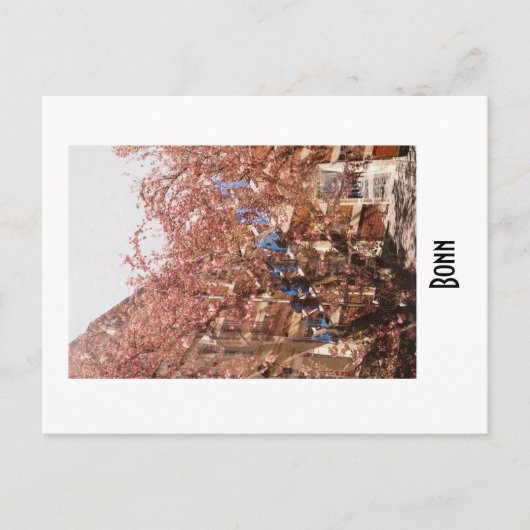 Bonn Postcard Postkarte (Vorderseite)