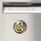 BONNET MAGNET (In Situ (Geschirrspüler))