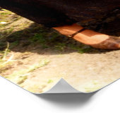 Bonnie and Clyde Fooling Around 1934 Color Redux Poster (Ecke)