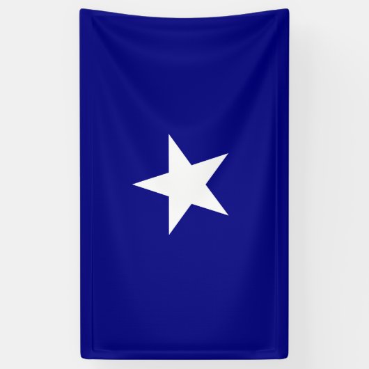 Bonnie Blue Flag Banner (Vertikal)