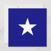 Bonnie Blue Flag