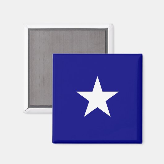 Bonnie Blue Flag Magnet (Vorderseite/Rückseite)