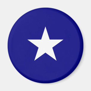 Bonnie Blue Flag Magnet