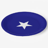 Bonnie Blue Flag Pappteller (Schrägansicht)