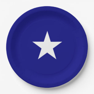 Bonnie Blue Flag Pappteller