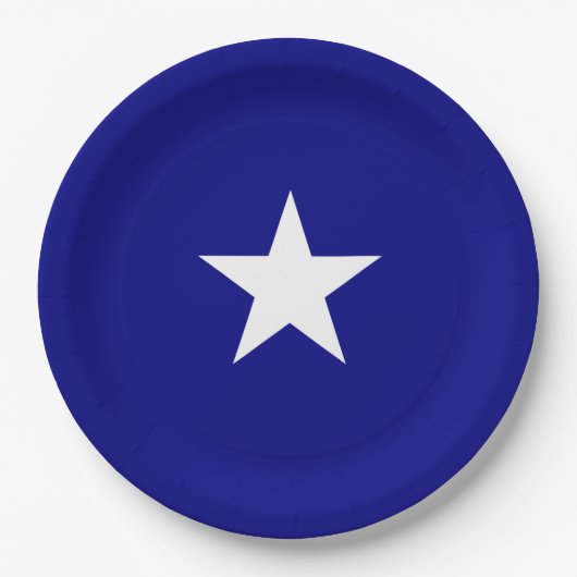 Bonnie Blue Flag Pappteller (Vorderseite)