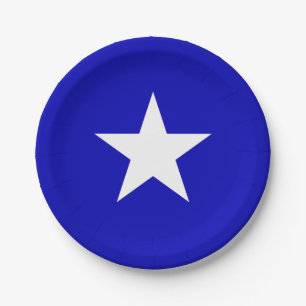 Bonnie Blue Flag Pappteller