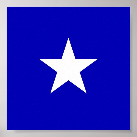 Bonnie Blue Flag Poster (Vorne)