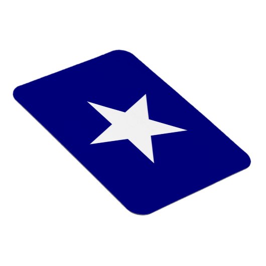 Bonnie Blue Flag White Star Magnet (Rechte Seite)