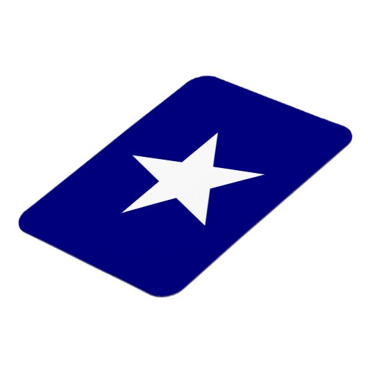 Bonnie Blue Flag White Star Magnet (Linke Seite)