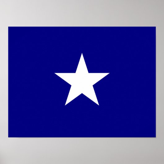 Bonnie Blue Flag White Star Poster (Vorne)