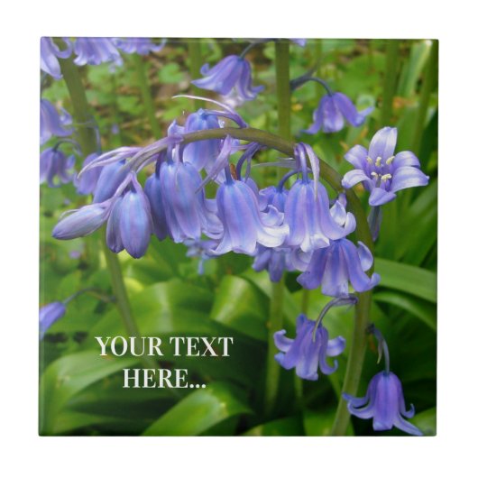 Bonnie Bluebell Fliese (Vorderseite)