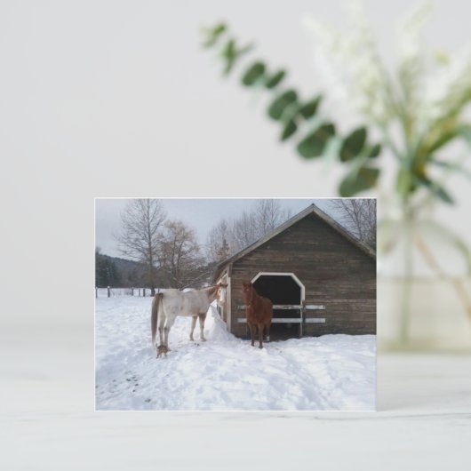 Bonnie & Clyde Postkarte (Stehend Vorderseite)