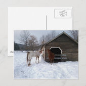 Bonnie & Clyde Postkarte (Vorne/Hinten)