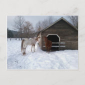 Bonnie & Clyde Postkarte (Vorderseite)