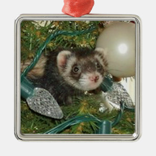 Bonnie in der Baum-Weihnachtsverzierung Ornament Aus Metall