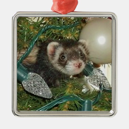 Bonnie in der Baum-Weihnachtsverzierung Ornament Aus Metall (Vorne)