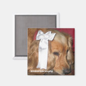 Bonnie Magnet (Vorderseite/Rückseite)