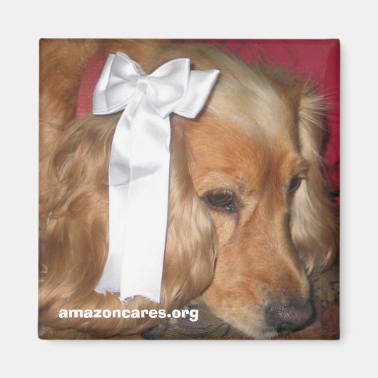 Bonnie Magnet (Vorne)