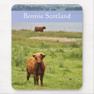 "Bonnie Scotland" mit Young Highland Cow Foto Mousepad