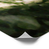 Bonnie und Clyde Embrace 1933 überarbeitet Poster (Ecke)