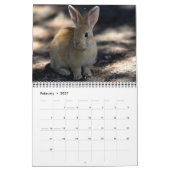 Bonny Bunnies 12 Monatskalender 2016 Kalender (Feb 2027)