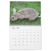Bonny Bunnies 12 Monatskalender 2016 Kalender (Mär 2027)