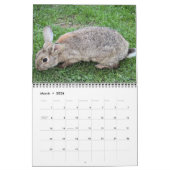 Bonny Bunnies 12 Monatskalender 2016 Kalender (Mär 2026)