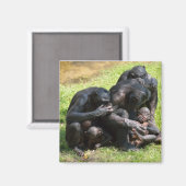 Bonobo Apes Magnet (Vorderseite/Rückseite)