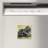 Bonobo Apes Magnet (In Situ (Geschirrspüler))