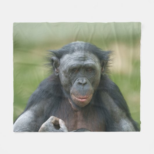 Bonobo Contemplation Fleecedecke (Vorderseite (Horizontal))