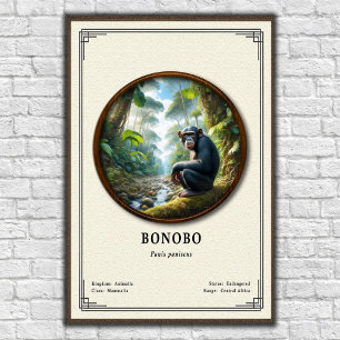 Bonobo-Zoologie-Serie Poster