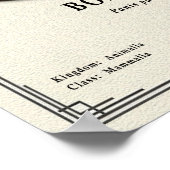 Bonobo Zoology Series Poster (Ecke)