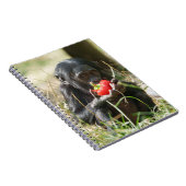 Bonobos Picnic Notizblock (Rechte Seite)