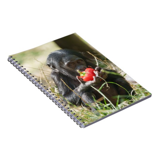 Bonobos Picnic Notizblock (Rechte Seite)