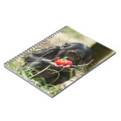 Bonobos Picnic Notizblock (Linke Seite)