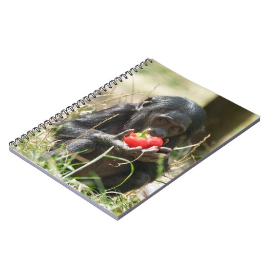 Bonobos Picnic Notizblock (Linke Seite)