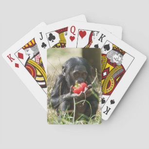 Bonobos Picnic Spielkarten