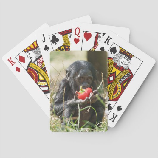 Bonobos Picnic Spielkarten (Rückseite)